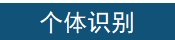 个体识别
